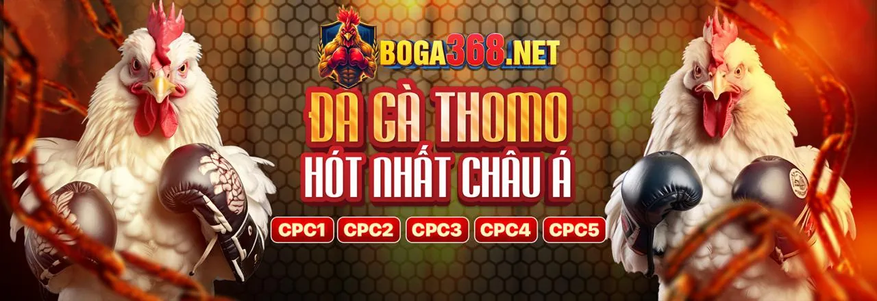 Chính sách an toàn và trách nhiệm tại hot51live