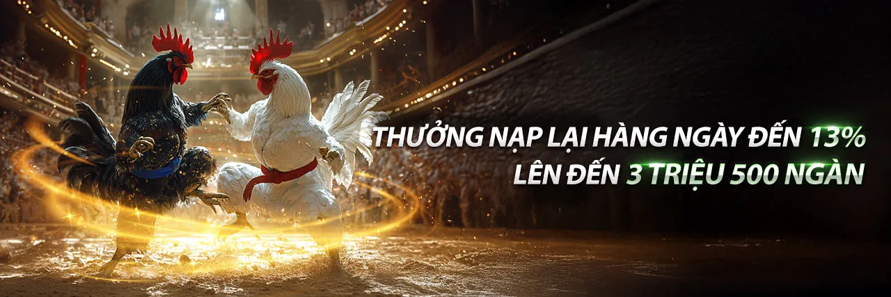 hot51live Blog Kinh Nghiệm Cá Cược Trực Tuyến